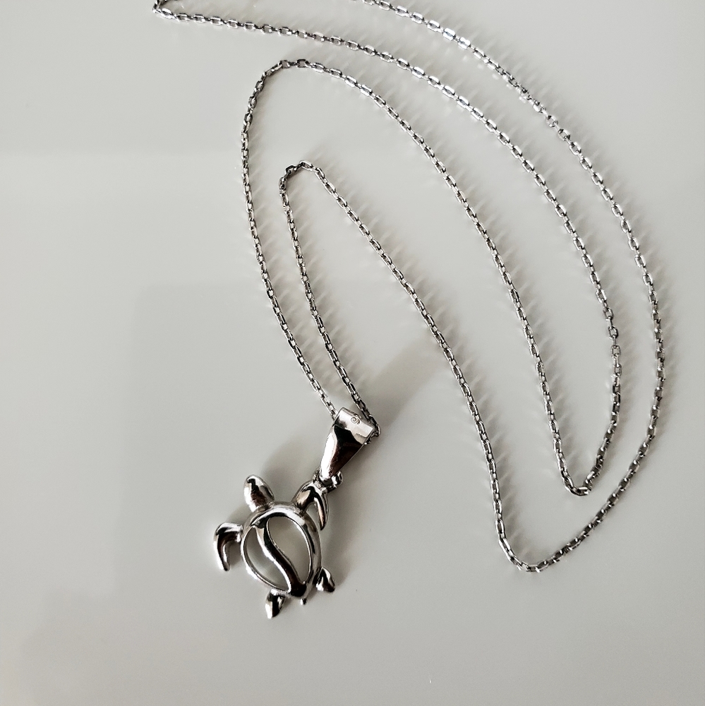 Silver turtle pendant & chain